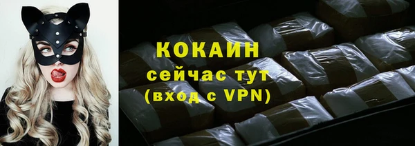 дживик Баксан