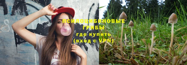 дживик Баксан