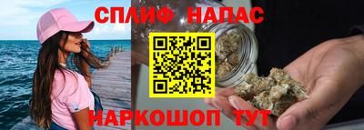 крисы Будённовск