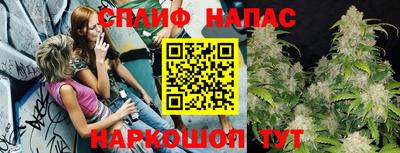 крисы Будённовск