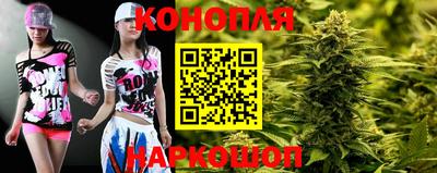 крисы Будённовск