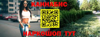 крисы Будённовск