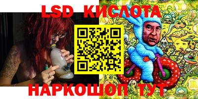 крисы Будённовск