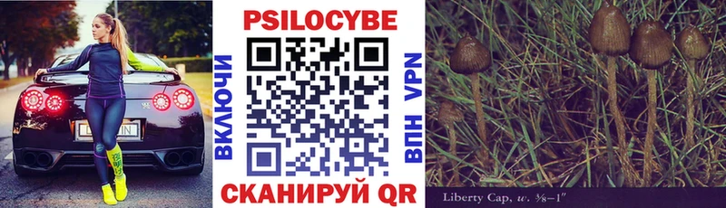 Псилоцибиновые грибы прущие грибы  цены наркотик  Вятские Поляны 