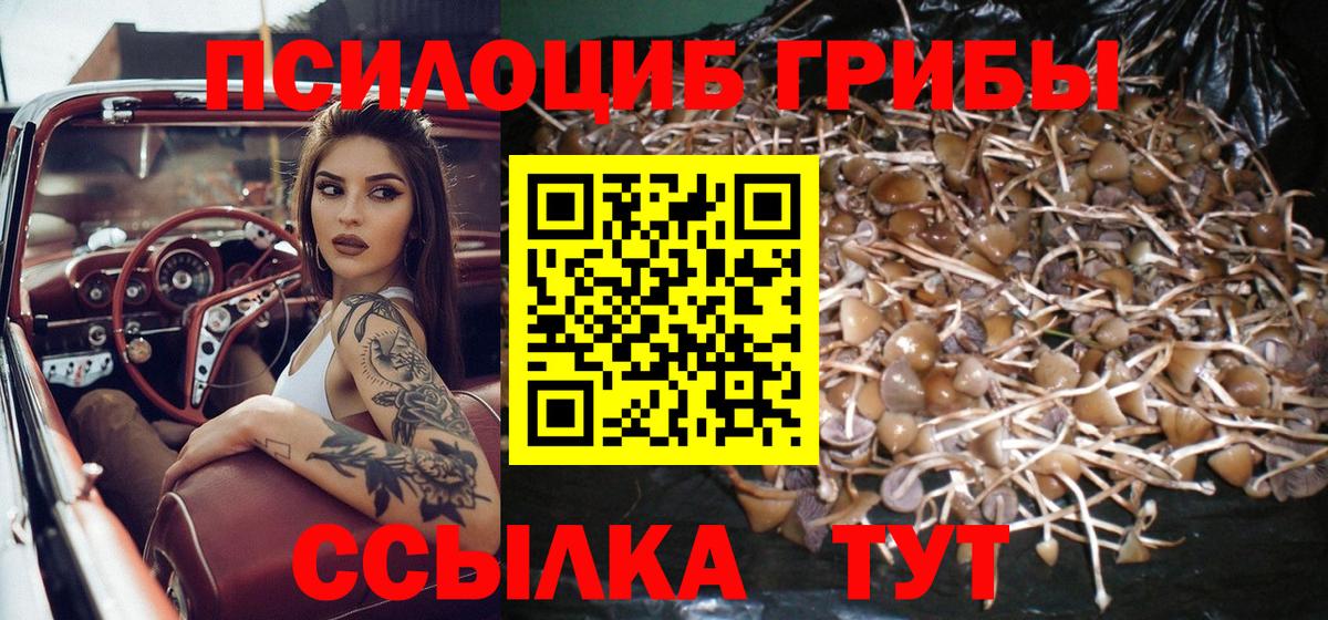 Псилоцибиновые грибы Magic Shrooms  Вход с VPN  Вятские Поляны 