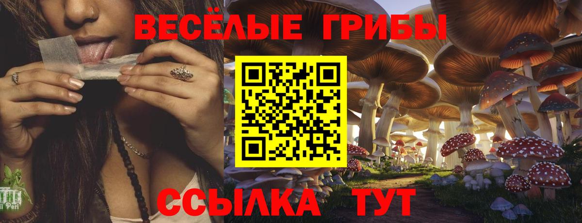 Галлюциногенные грибы мухоморы Вятские Поляны